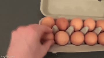 Anal Egg Breakfast