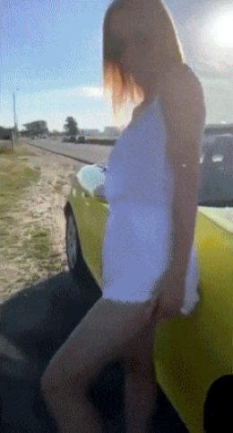 Car loves that bitch