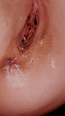 CLOSE UP PUSSY PORN GIF